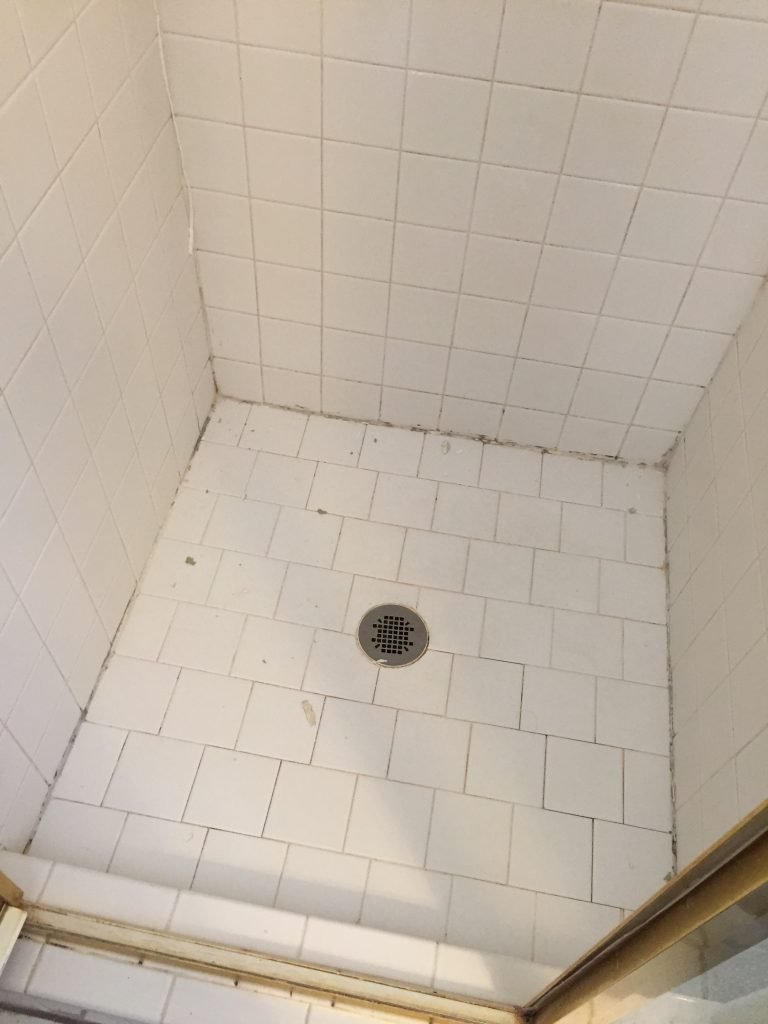 Photo-Feb-04-2016-2-09-19-PM-768x1024