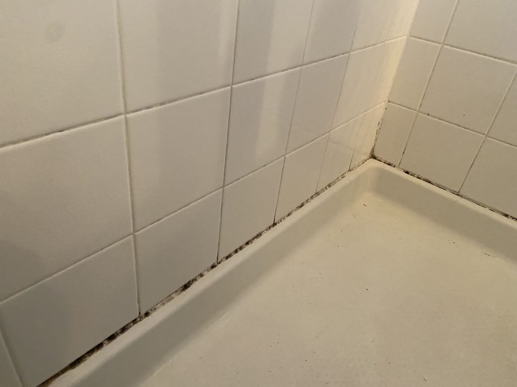 Photo-Jul-28-2022-2-19-35-PM-1024x768