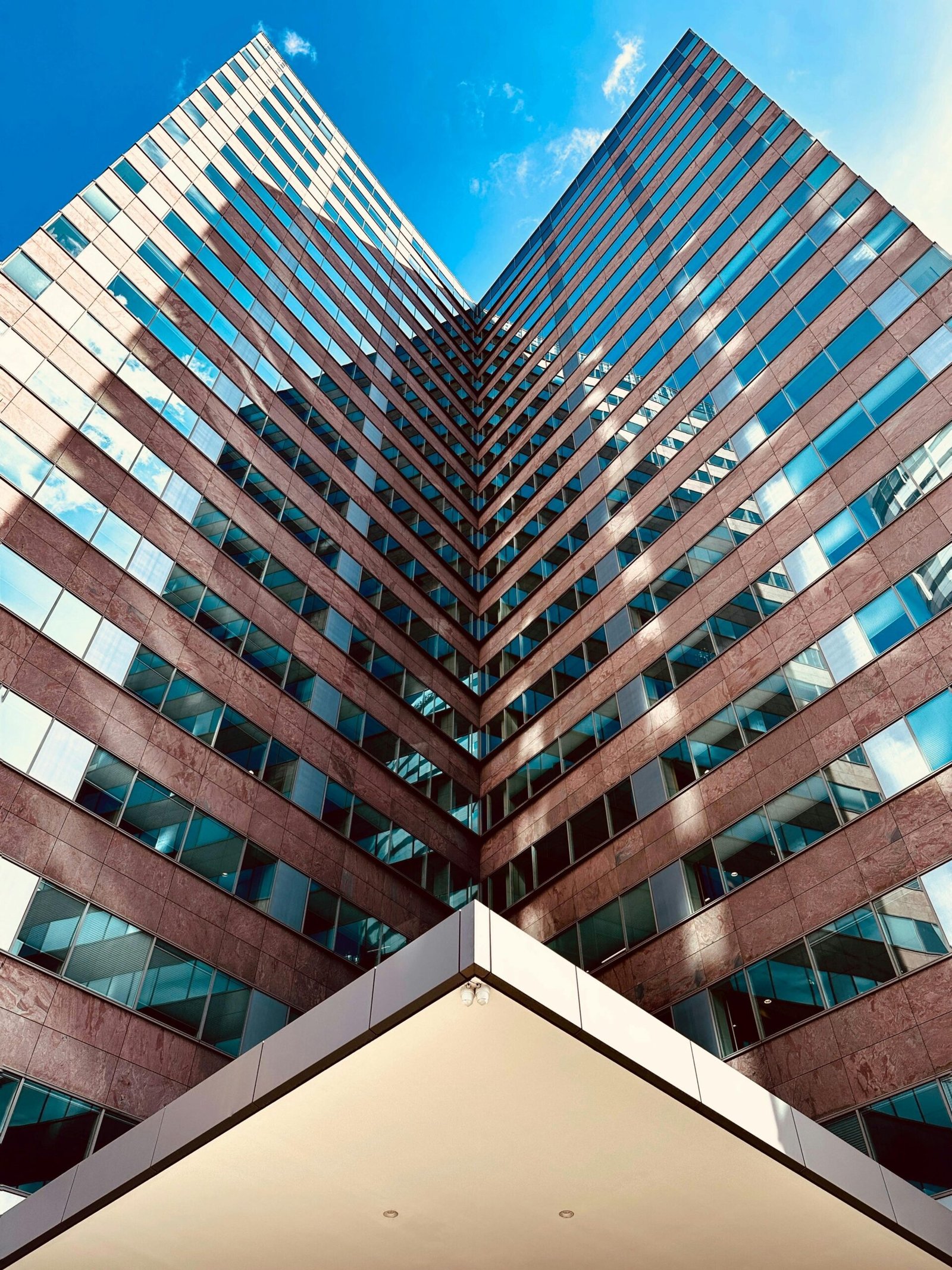 Caulking-in-Grapevine-